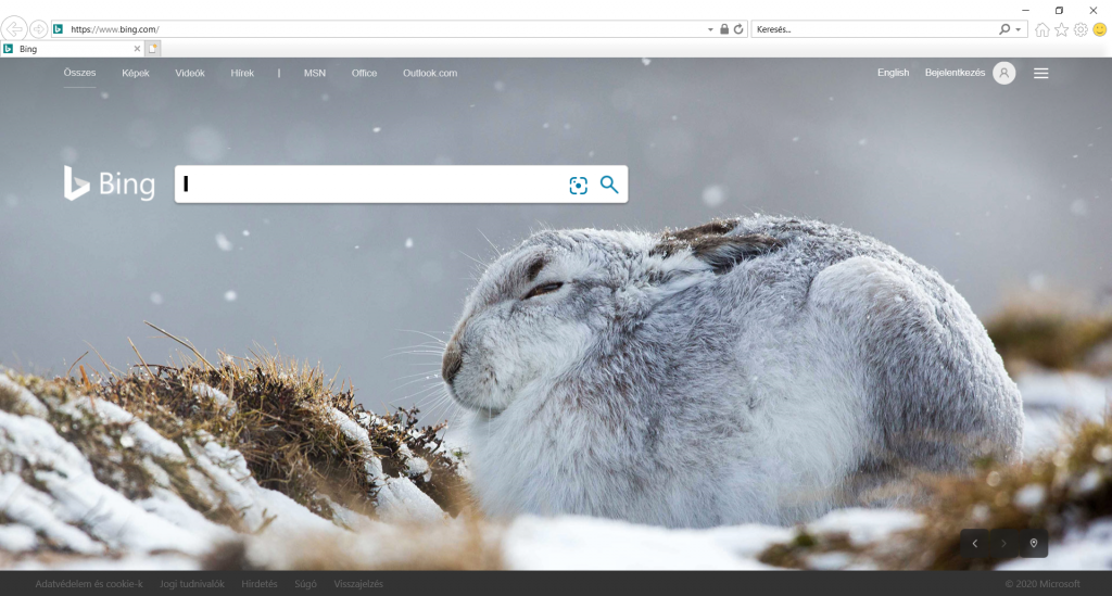 Az Internet Explorer kezdőképernyője.